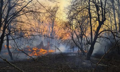 Окупацията на Чернобил от Русия е била "много опасна", каза МААЕ