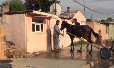 ЕС иска повече участие на цигани в политиката и в бюджетните решения