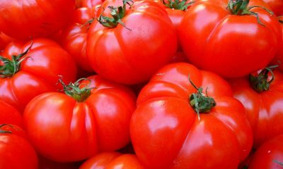 Британска министъра към сънародниците си: Яжте репи вместо домати