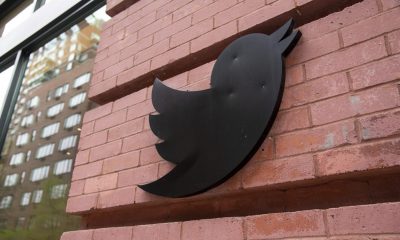 Twitter вече е в ръцете на Мъск. Птицата е на свобода