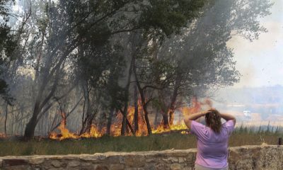 Горски пожари са опустошили рекордно големи площи в ЕС