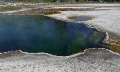 Сварен човешки крак изплува от горещ извор в Йелоустоун