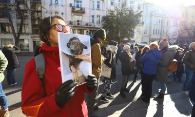 Насилниците над животни се разминават с по 1000 лева глоба. Случаите са ежедневно