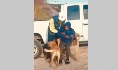 Вярно куче намери изчезналия си собственик и го спаси от смърт