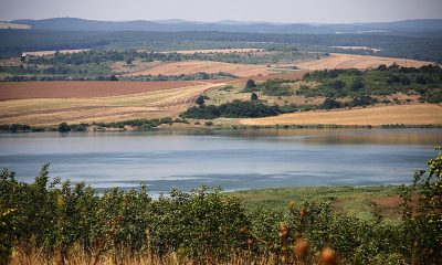 Тяло на удавник изплува в Мандренското езеро