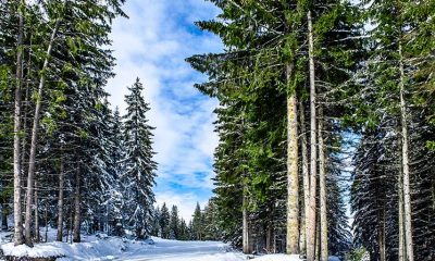 Спасители откриха мъртва изчезнала жена край Чепеларе